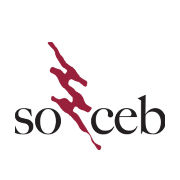 3a